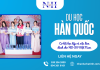 Du học Hàn Quốc: Cơ hội học tập và việc làm dành cho HS-SV Việt Nam