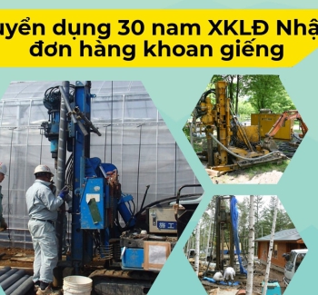 Làm việc tại Nhật
